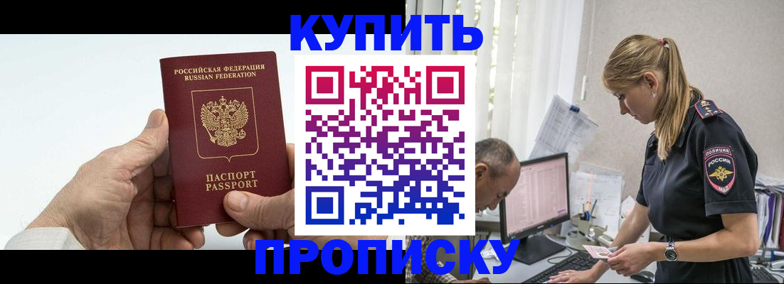 прописка поиск в Невеле